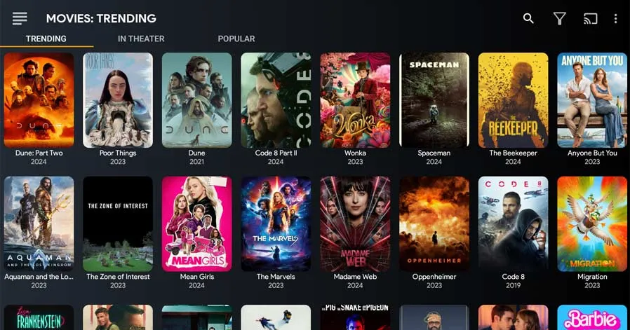 Netflix Mirror APK content